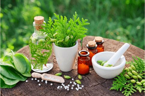 Plantes, flacons et mortier de naturopathie